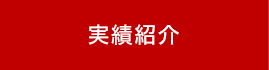 実績紹介